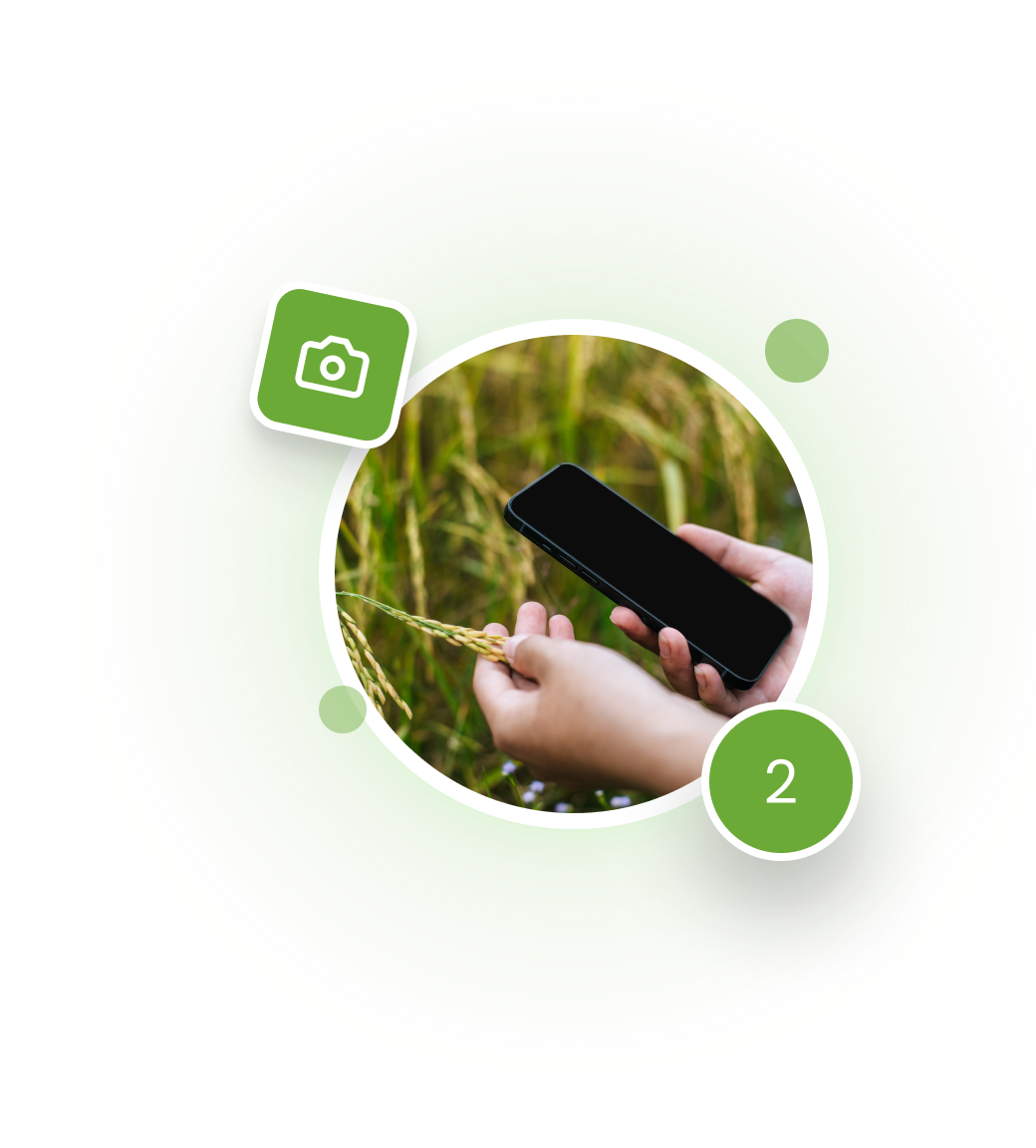 Quick Image Scan Img